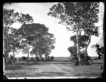 Cochin China [Vietnam]. Photograph by John Thomson, 1867.