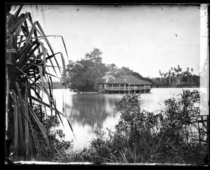 Annam, Cochin China [Vietnam]. Photograph by John Thomson, 1867.