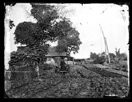 Cochin China [Vietnam]. Photograph by John Thomson, 1867.