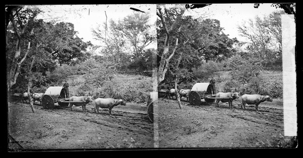 Formosa [Taiwan]. Photograph by John Thomson, 1871.