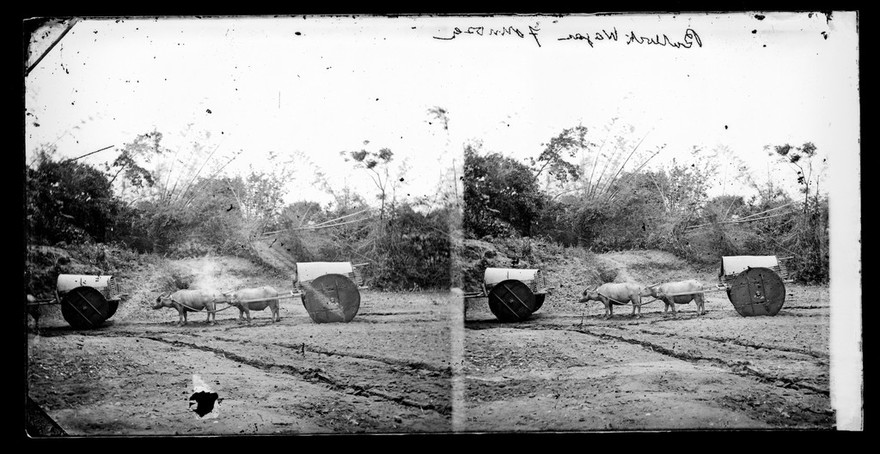 Formosa [Taiwan]. Photograph by John Thomson, 1871.