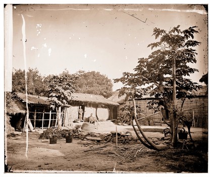 Baksa or Zuojhen (Zuozhen), Formosa [Taiwan]: Pepohoan dwellings. Photograph by John Thomson, 1871.