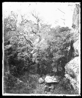 Formosa [Taiwan]. Photograph by John Thomson, 1871.