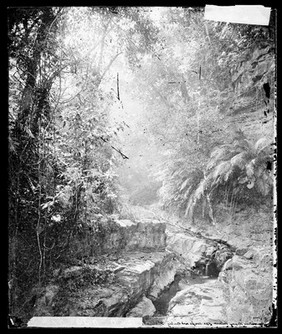 Lalung, Formosa [Taiwan]. Photograph by John Thomson, 1871.