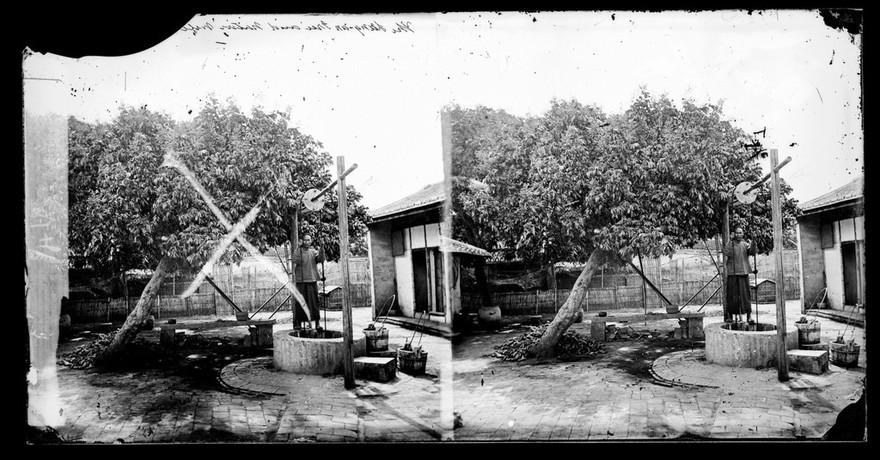 Formosa [Taiwan] (?). Photograph by John Thomson, 1871.