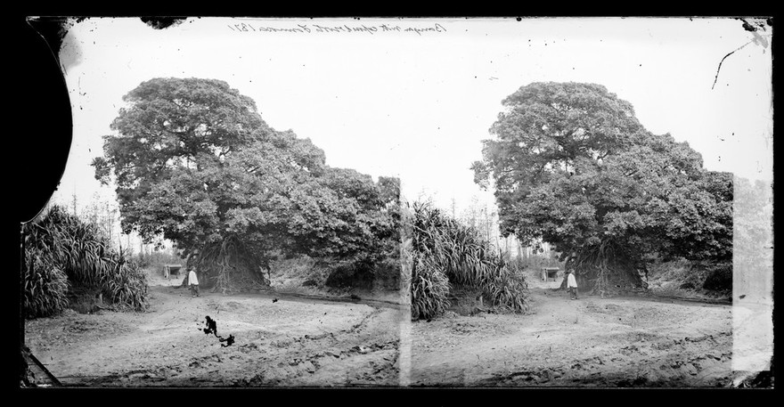 Formosa [Taiwan]. Photograph by John Thomson, 1871.