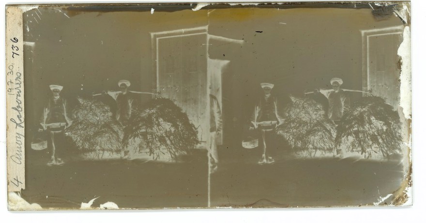 Amoy (Xiamen), Fukien province, China: two field labourers. Photograph by John Thomson, 1871.