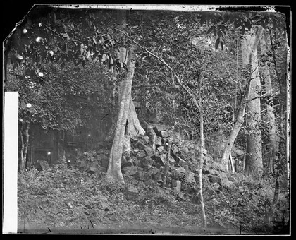 Nakhon Thom [Angkor Wat], Cambodia. Photograph by John Thomson, 1866.