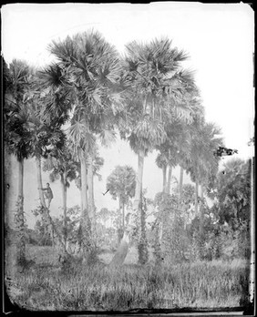 Siam [Thailand]. Photograph by John Thomson, 1866.