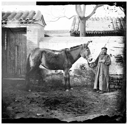 China: an old Mongol woman with her horse, Beijing. Photograph by John Thomson, 1871.