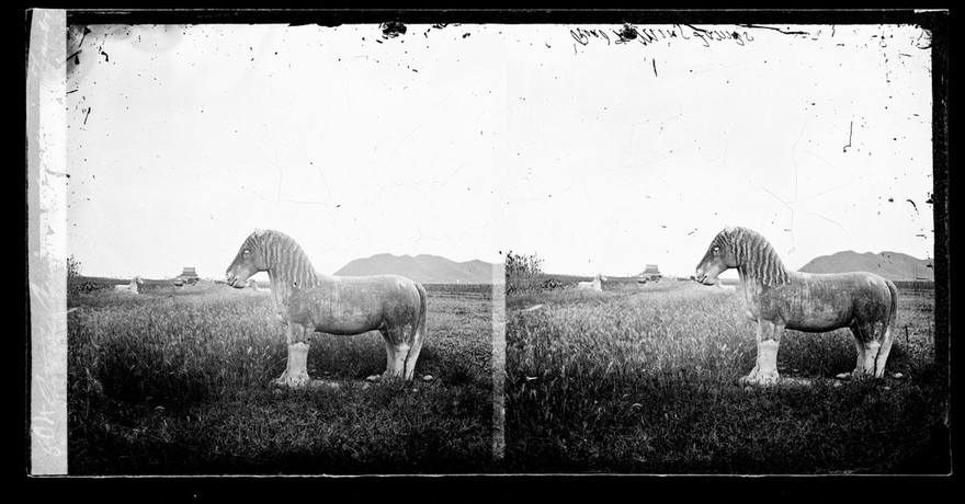 Nanking, Kiangsu province, China. Photograph by John Thomson, 1871.