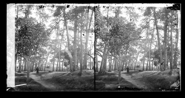 Foochow, Fukien province, China. Photograph by John Thomson, 1870/1871.