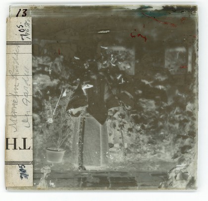 China: a Manchu lady with her maid, Beijing. Photograph by John Thomson, 1869.