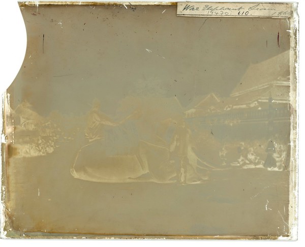 Siam (Thailand): a white elephant of the King. Photograph by John Thomson, 1865.