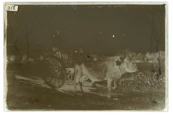 Cyprus. Photograph by John Thomson, 1878.