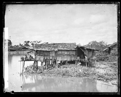 Annam, Cochin China [Vietnam]. Photograph by John Thomson, 1867.