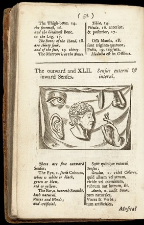 Joh. Amos Comenii Orbis sensualium pictus: hoc est omnium principalium in mundo rerum, & in vita actionum, pictura & nomenclatura. Joh. Amos Comenius's visible world: or, a nomenclature, and pictures, of all the chief things that are in the world, and of men's employments therein; in above 150 cuts / Written by the author in Latin and High Dutch ... Translated into English by Charles Hoole, M.A. For the use of young Latin scholars.