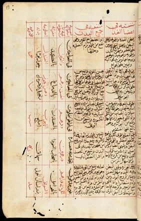 WMS Arabic 419