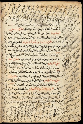 WMS Arabic 450