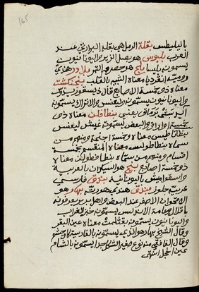 WMS Arabic 461