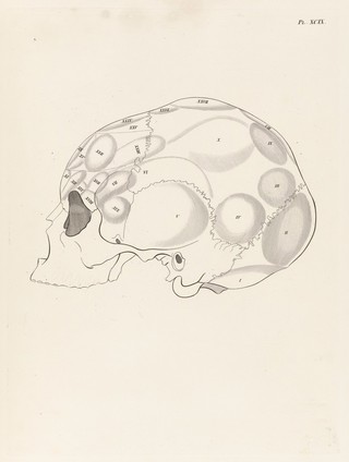 Anatomie et physiologie du système nerveux en général, et du cerveau en particulier, avec des observations sur la possibilité de reconnoître plusieurs dispositions intellectuelles et morales de l'homme et des animaux par la configuration de leurs têtes / Par F. J. Gall et G. Spurzheim.