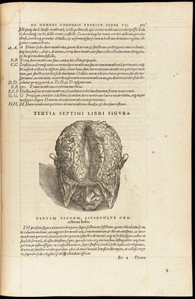 De humani corporis fabrica libri septem / [Andreas Vesalius].