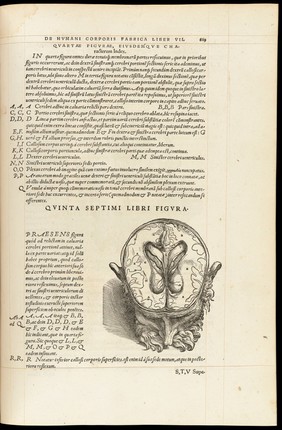 De humani corporis fabrica libri septem / [Andreas Vesalius].