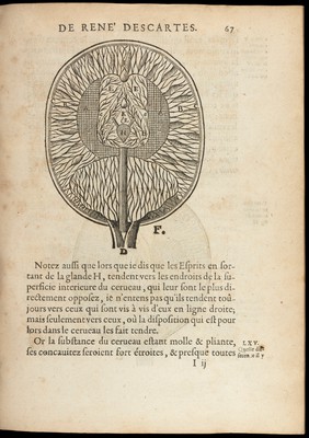 L'homme ... et un traitté de la formation du fœtus. Du mesme autheur / Avec les remarques de Louys de la Forge ... sur le traitté de l'homme.