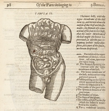 Mikrokosmographia. A description of the body of man. Together with the controversies thereto belonging. Collected and translated out of all the best authors of anatomy, expecially Gaspar Bauhinus and Andreas Laurentius / By Helkiah Crooke. Published by the Kings Maiesties especiall direction and warrant, according to the first integrity, as it was originally written by the author.