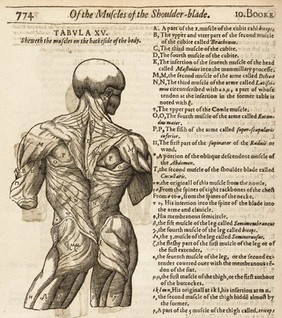 Mikrokosmographia. A description of the body of man. Together with the controversies thereto belonging. Collected and translated out of all the best authors of anatomy, expecially Gaspar Bauhinus and Andreas Laurentius / By Helkiah Crooke. Published by the Kings Maiesties especiall direction and warrant, according to the first integrity, as it was originally written by the author.