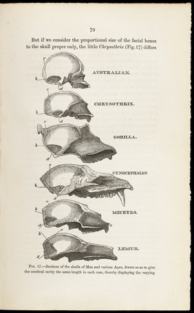 Evidence as to man's place in nature / by Thomas Henry Huxley.