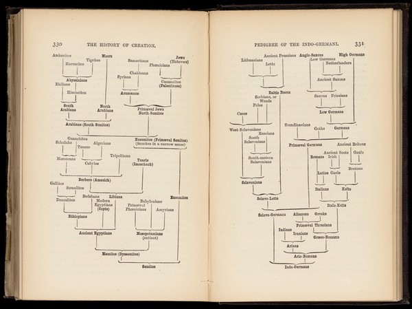 The history of creation, or, The development of the earth and its inhabitants by the action of natural causes : a popular exposition of the doctrine of evolution in general, and of that of Darwin, Goethe and Lamarck in particular / from the German of Ernst Haeckel ; the translation revised by Professor E. Ray Lankester.