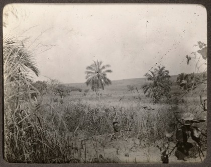 A [wadudi] fetish; central African prairie plateau