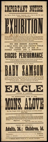 Important notice : one fact is worth twenty arguments, and a fact is that the most pleasing and remarkable exhibition in the known world is now in this town... : to be seen alive, a child with one side perfect while the other side  of him is double jointed and a skeleton... also the world's wonder, the female Baby Samson.