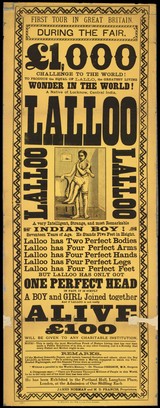First tour in Great Britain : during the fair, £1,000 challenge to the world! to produce the equal of Lallo [sic], the greatest living wonder in the world : a native of Lucknow, central India : Lalloo... simply a boy and girl joined together... / James Norman and M.D. Francis, proprietors.