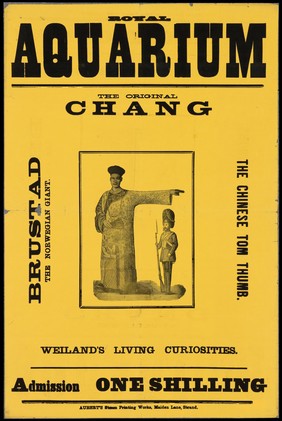 Royal Aquarium : the original Chang, Brustad, the Norwegian giant, the Chinese Tom Thumb,  Wieland's living curiosities : admission one shilling.