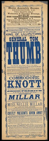 King of Lilliputians : the original and only Australian General Tom Thumb, the smallest well-formed man in the world... the world-famed court dwarf and jester, Commodore Knott.