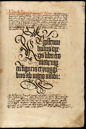 Liber chronicarum / [Hartmann Schedel].