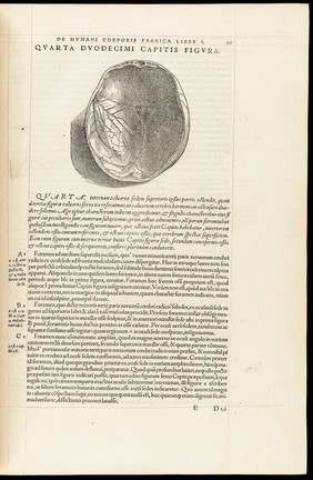 Andreae Vesalii Bruxellensis, scholae medicorum Patauinae professoris De humani corporis fabrica libri septem.