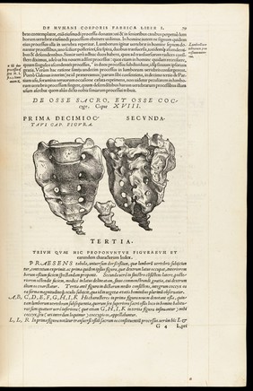 Andreae Vesalii Bruxellensis, scholae medicorum Patauinae professoris De humani corporis fabrica libri septem.