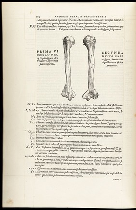 Andreae Vesalii Bruxellensis, scholae medicorum Patauinae professoris De humani corporis fabrica libri septem.