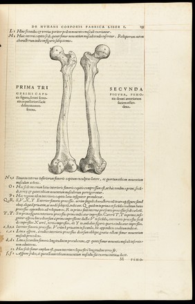 Andreae Vesalii Bruxellensis, scholae medicorum Patauinae professoris De humani corporis fabrica libri septem.