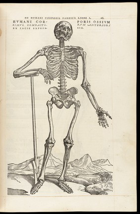 Andreae Vesalii Bruxellensis, scholae medicorum Patauinae professoris De humani corporis fabrica libri septem.