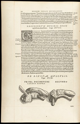 Andreae Vesalii Bruxellensis, scholae medicorum Patauinae professoris De humani corporis fabrica libri septem.