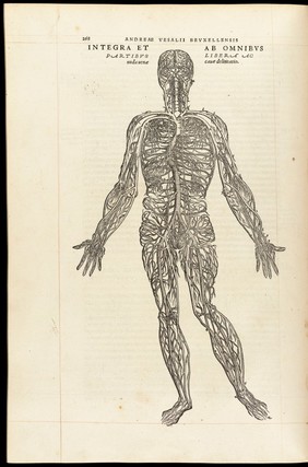 Andreae Vesalii Bruxellensis, scholae medicorum Patauinae professoris De humani corporis fabrica libri septem.