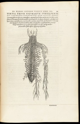 Andreae Vesalii Bruxellensis, scholae medicorum Patauinae professoris De humani corporis fabrica libri septem.