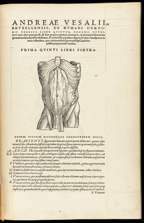 Andreae Vesalii Bruxellensis, scholae medicorum Patauinae professoris De humani corporis fabrica libri septem.