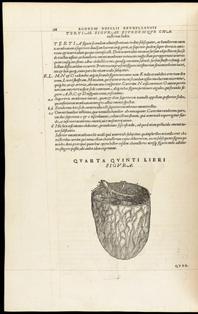 Andreae Vesalii Bruxellensis, scholae medicorum Patauinae professoris De humani corporis fabrica libri septem.