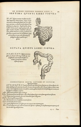 Andreae Vesalii Bruxellensis, scholae medicorum Patauinae professoris De humani corporis fabrica libri septem.