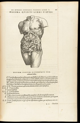 Andreae Vesalii Bruxellensis, scholae medicorum Patauinae professoris De humani corporis fabrica libri septem.